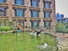 -行者书屋大堂吧 ·下午茶(南京圣和府邸酒店)