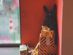 -Punchline Coffee&Roaster(同济大学店)