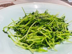 鸡油豆苗-羲和雅苑•北京烤鸭(平安国际金融中心店)