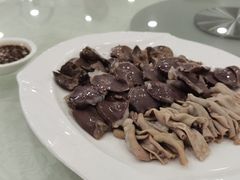 -姚林轩