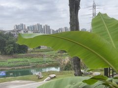 -茅草房·河畔园林火锅