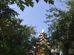 -西双版纳勐泐文化旅游区