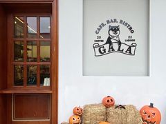 门面-ZAZA.CAFE.BAR