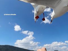 -海埂大坝