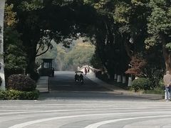 -昆山城市生态森林公园