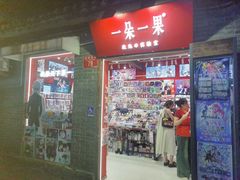 -一朵一果(南锣鼓巷店)