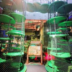 -恐龙探索乐园(磁器口店)