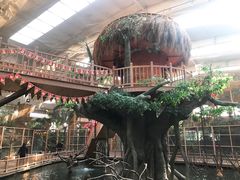 -南宫五洲植物乐园