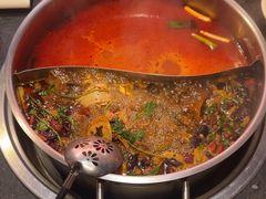 -蓉客成都火锅·招牌麻辣牛杂·特色香辣蹄花(凌水店)