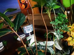 -云海肴·汽锅鸡·云南代表菜(天山百盛优客店)