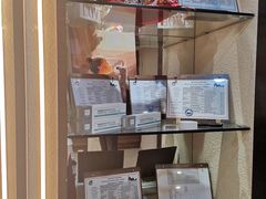 -猫十亿·布偶金渐层·曼基康矮脚猫舍(青年路店)