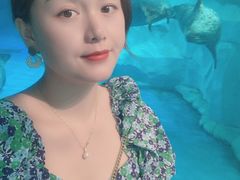 -芜湖新华联大白鲸海洋公园