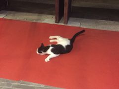 -万达影城(银兴菲林店)