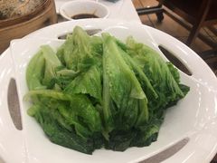 白灼生菜-龙的酒楼·手工早茶·顺德菜(近良路店)
