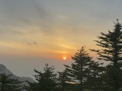 -泰山风景名胜区