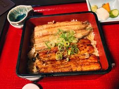 -料亭菊水楼
