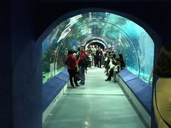 -福州罗源湾海洋世界旅游区