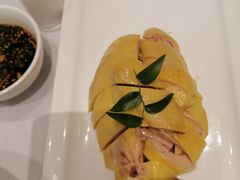 -圆苑(静安寺店)