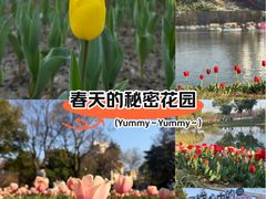 -圩墩遗址公园