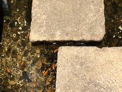 -邈墨茶馆(凤起路店)