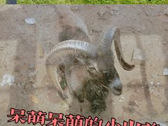 -无锡动物园·太湖欢乐园