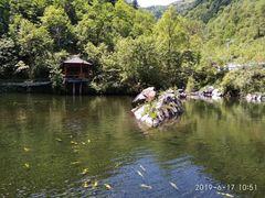 -凤凰山国家森林公园
