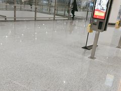 -麦当劳(北京大兴机场二层国内到达(安检外)店)