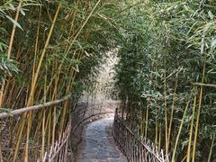 -竹子庵公园