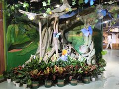 -萌宠奇缘(荣鼎店)