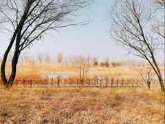 -野鸭湖国家湿地公园