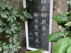 -No Cat 手碟