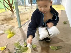 -上海大自然野生昆虫馆(东方明珠·爬宠昆虫探索中心)
