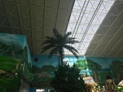 -望儿山温泉水乐园