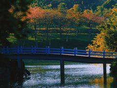 -森波拉奇妙世界