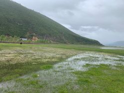 -纳帕海依拉草原