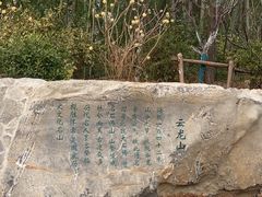 -云龙山