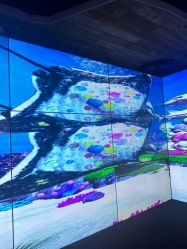 点击看大图 -Zoolung Zoolung动物主题公园(海信广场店)