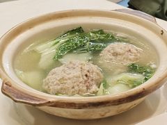 -丁老爷子苏香圆