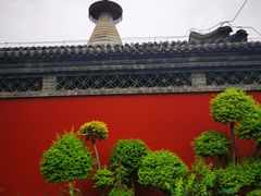 -杏园餐厅(西四北大街店)
