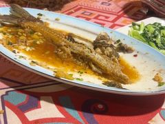 -鱼乐岛餐厅·户外花园主题餐厅