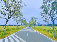 -光明小镇欢乐田园
