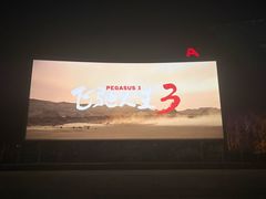 -枫花园汽车电影院(朝阳公园店)