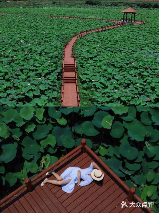 羊楼洞图片