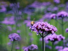 -杭州城北体育公园