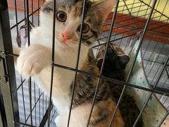 -北京古堡35号院