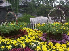 iphone_upload_pic-迎泽公园