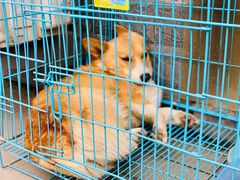 -秦美花卉(天朗·莱茵小城2期店)