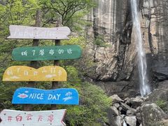 -洛阳白云山景区