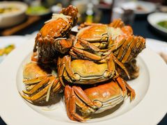 -北京老铺烤鸭(时代广场店)