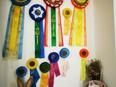 -Husky Go! 哈士奇体验馆·宠物咖啡厅狗咖